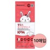 WellKeeps Yellow Dust Quarantine Mask KF94 Small White 10 sheets / 웰킵스 황사방역마스크 KF94 소형 화이트 10매