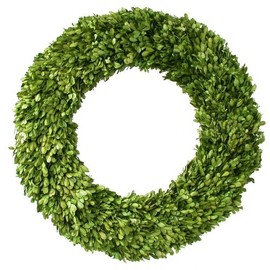 Preserved Boxwood Wreath 24 in. Tradingsmith