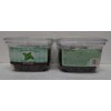 Trader Joe Dark Mint Chocolate Creams 10oz 284g (Two Tubs)