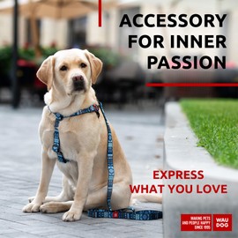 Nylon Dog Leash for Small Dogs and Medium Dogs - Strong Dog Leash for Large Dogs - Heavy Duty Dog Leashes for Large Breed Dogs & Puppy Leash for Small Boy & Girl Dogs