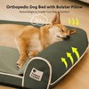 FUNNY FUZZY Orthopedic Dog Bed – Washable Dog Bed with