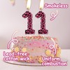 Leopard Print 3rd Birthday Candles & Decorations - Cheetah &