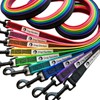 DogGarden Non-Slip Leash for Small Dogs 9.8 ft (3 m),