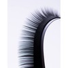 Eyelash Extensions Pineapple Lashes Curl C|D|CC 0,05 0,07 0,10 0,15