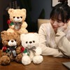 Bear Stuffed Animal Plush Toy for Valentine Day, Cute 9.8"