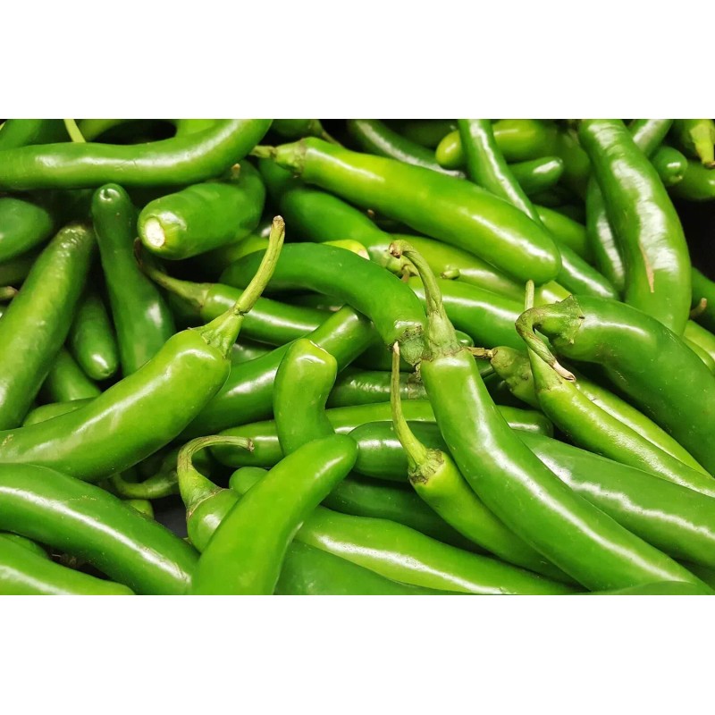 Mari's Seeds Serrano Chili seeds 24 seeds