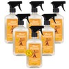 Aunt Fannie's All Purpose Wood Spray Cleaner, No-Wax Formula, Perfect