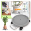 Caster Flower Pot Stand, Pot Holder, Flower Stand, Pot (S,