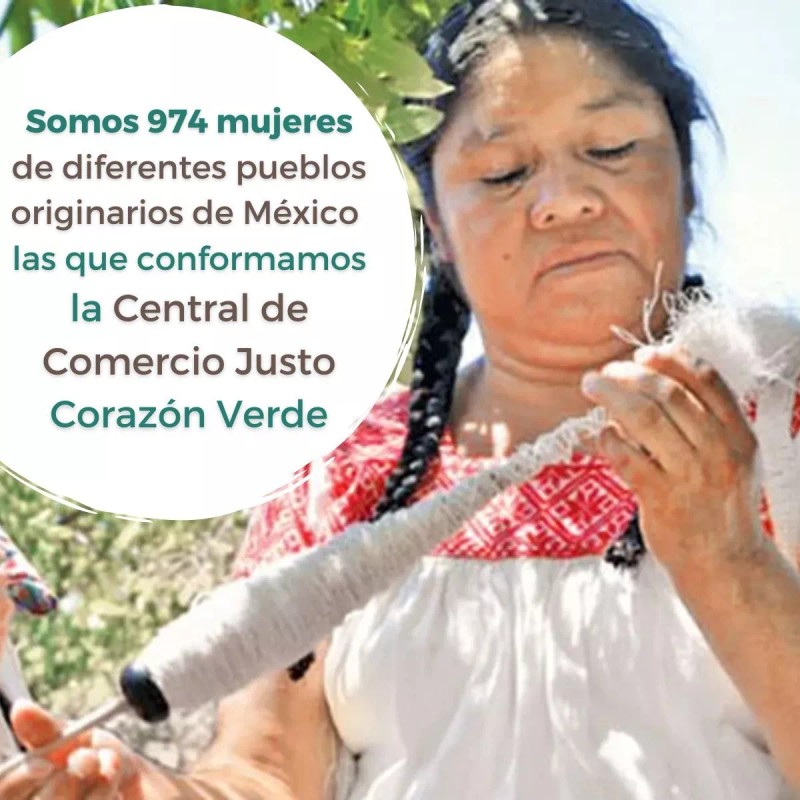 Corazón Verde Jabonera Exfoliante Estropajo Naturales Fibra 10 Piezas