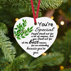 Appreciation Gifts for Coworker Women Inspirational Gift Ideas Christmas Ornament Thank You Gifts for Women Men Friends Ceramic Ornament Coworkers Leaving Gifts Motivational Gift for Nurse Teacher