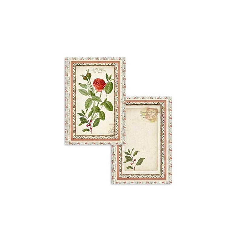 Stamperia Winter Botanic Scrapbooking Cards sbbpc06