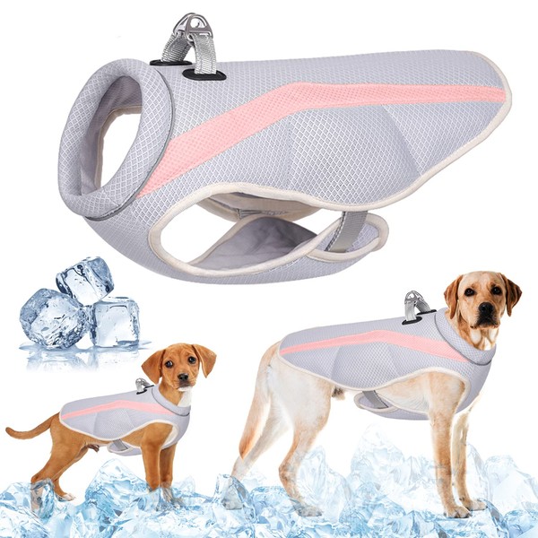 Dog Cooling Vest with Harness D-Ring for Running, Hiking, Mountaineering,