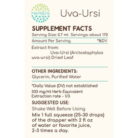 Uva-Ursi B120 Alcohol-Free Herbal Extract Tincture, Concentrated Liquid Drops Natural Uva-Ursi (Arctostaphylos uva-Ursi) Dried Leaf (4 fl oz)