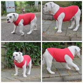 Lovelonglong 2019 Summer Pet Clothing, Dog Clothes Blank T-Shirts Ribbed Tanks Top Thread Vests for Large Medium Small Dogs 100% Cotton Red M