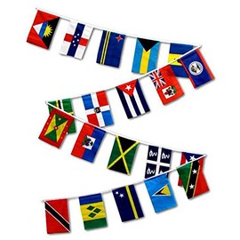 30ft String Flag Set of 20 Caribbean Country Flags