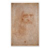 Leonardo Da Vinci Self Portrait - 5" Vinyl Sticker -