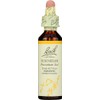 Bach Flower Remedies Hornbeam 20 ml (a)