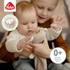 Fehn FehnNATUR Baby Comforter Teddy Bear with Organic Cotton -