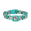 Petiry Flamingo Pattern Dog Collar, Nylon Webbing Plus Polyester Ribbon