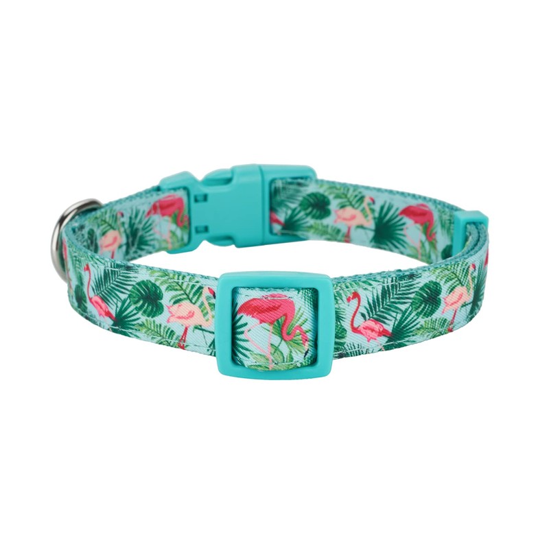 Petiry Flamingo Pattern Dog Collar, Nylon Webbing Plus Polyester Ribbon