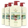 Old Spice Fresher Body Wash for Men, Fiji with Palm