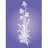Iris Stencil - 16.5 x 52 cm - Reusable Flora