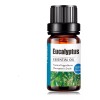 UVa Natural Aceite Esencial De Eucalipto 100% Natural Puro Uva