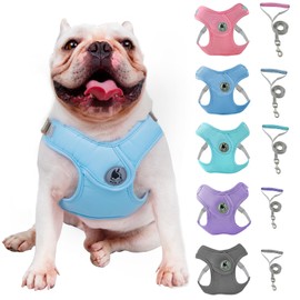 Dog Harness with Leash Set, No-Pull Pet Harness with 1 Leash Clips, Adjustable Soft Padded Pet Vest for Small Medium Dogs No Pull, Puppy Harness and Leash Set