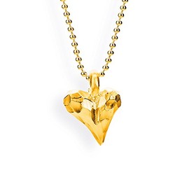 Drachenfels Design Heartbreaker Women's Pendant Gold-Plated SILVER-D / AGG BHE 31