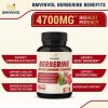 BMVINVOL Berberine Capsules 150 Count Dietary Supplement With Ceylon Cinnamon