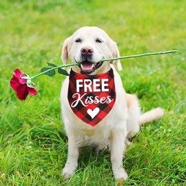 JOTFA 2 Pack Valentines Dog Bandanas, Valentine’s Day Dog Bandanas Scarf Dog Valentine’s Day Bandanas Outfits Clothes for Small Medium Large Dogs Pets (Red, Free Kisses & Be My Valentine)