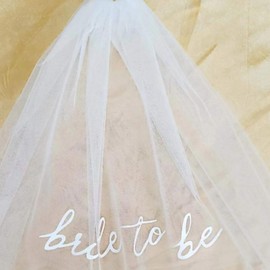 Bride To Be Embroidered Veils,Bride To Be Headband Decorations, Bach Party Accessory Headpiece Bridal Shower Gift