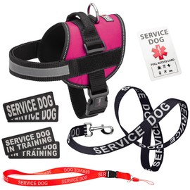 Dogline Service Dog Vest Harness Bundle Service Dog Reflective Leash & Patches Service Dog in Training Set, ADA IDs for Travel Support Therapy Dogs Girth 18 to 25 in Pink