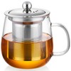 DOPUDO Glass Tea Cup with Infuser and Lid, 17.6oz/520ml Large