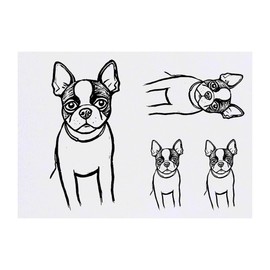 4 x 'Boston Terrier' Temporary Tattoos - Water Resistant, Skin-Safe, Non-Toxic Transfers, Mixed Sizes (TO00075002)