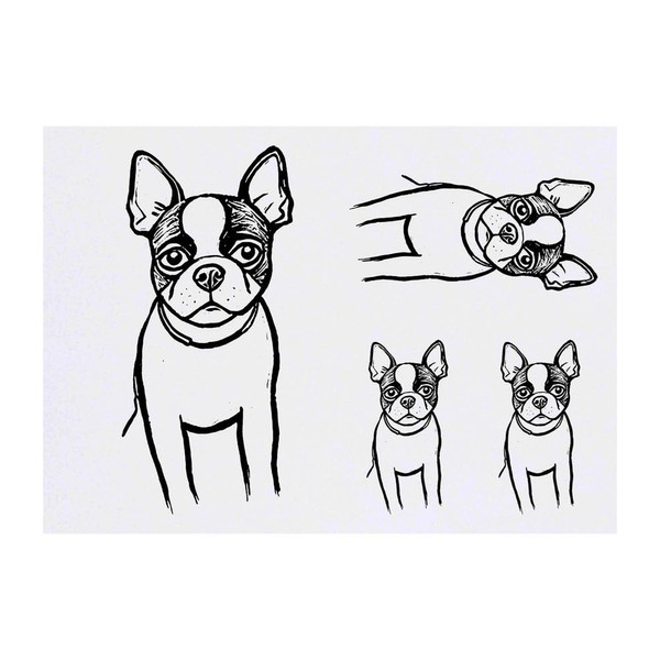 4 x 'Boston Terrier' Temporary Tattoos - Water Resistant, Skin-Safe,