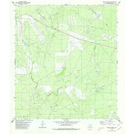 YellowMaps Retama Creek TX topo map, 1:24000 Scale, 7.5 X 7.5 Minute, Historical, 1980, Updated 1980, 27.3 x 23.4 in - Paper