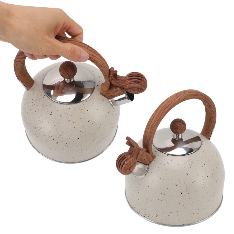 Whistling Kettle 2.5L Capacity Stainless Steel Stovetop Teapot for Water