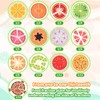 Wooden Fruit Fractions Circles, Fractions Resources for Children Math, Food