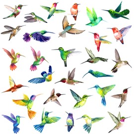 AIBAOBAO 32 Large Beautiful Humming Birds Wall Stickers Flying Hummingbird Decals Removable for Window Bedroom Living Room Office Nursery Art Home Décor,Birds Wall Decal Animals Stickers
