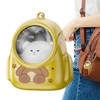 Cute Light up Keychain | Animal in Backpack Key Ring