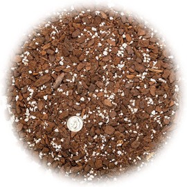 Premium Monstera Siltepecana Matuda Potting Soil - Enhances Aeration and Drainage for Optimal Growth by Gardenera - 3 Quart