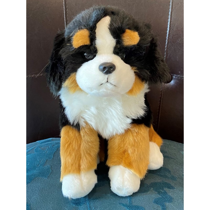 Bernese Puppy Companion