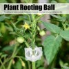 Reusable Plant Rooting Device High Pressure Propagation Ball Box Plant