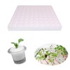 Doyime Hydroponics Sponge, Vegetable Planting Sponge, Hydroponic Cultivator, Square Seedling