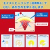 Ikeda Mohando Hibi Care Pads, Pack of 10