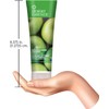 Desert Essence Green Apple & Ginger Shampoo & Conditioner Bundle