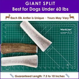 Deluxe Naturals 1-Pack Giant Split Elk Antler Dog Chews – Center‑Cut, 7.5‑10 inch Long, USA‑Sourced Natural Dental Treats for Medium & Large Dogs up to 60 lb, Long‑Lasting Odor‑Free Chew