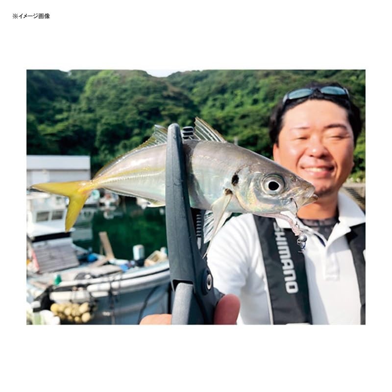 SHIMANO JK-216T Soare Jig Head Kashegami (Set of 2) 0.06