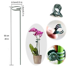 SUNYAY 10 pcs 20 inch Metal Single Stem Flower Plant Support Stakes and Rings for Amaryllis Orchid Lily Sunflower Rose Narcissus
